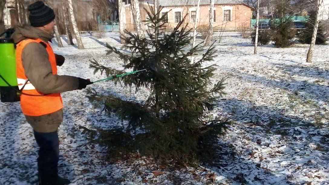 Не рубай ялинку!